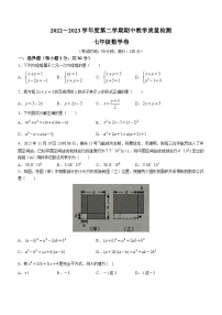 广西壮族自治区北海市合浦县2022-2023学年七年级下学期期中数学试题（含答案）