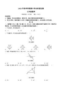 广西壮族自治区钦州市浦北县2022-2023学年七年级下学期期中数学试题（含答案）