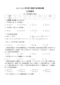 河南省驻马店市泌阳县2022-2023学年七年级下学期期中数学试题（含答案）