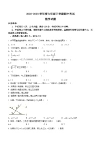 河南省驻马店市平舆县2022-2023学年七年级下学期期中数学试题（含答案）