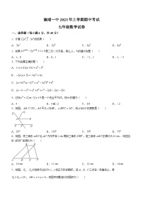 湖南省怀化市溆浦县第一中学2022-2023学年七年级下学期期中数学试题（含答案）