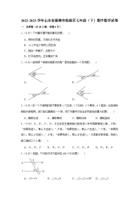 山东省淄博市临淄区2022-2023学年七年级下学期期中数学试卷（含答案）