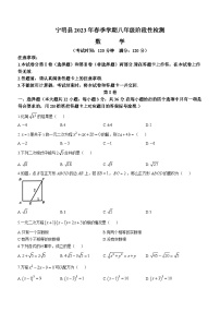 广西壮族自治区崇左市宁明县2022-2023学年八年级下学期期中数学试题（含答案）