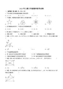 湖南省怀化市洪江市实验中学2022-2023学年八年级下学期期中数学试题（含答案）