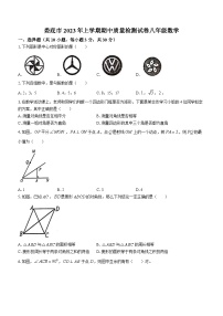 湖南省娄底市2022-2023学年八年级下学期期中数学试题（含答案）