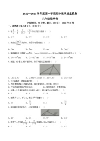 广西壮族自治区北海市合浦县2022-2023学年八年级上学期期中数学试题（含答案）