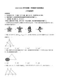 河南省驻马店市平舆县2022-2023学年八年级上学期期中数学试题（含答案）