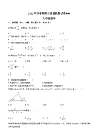 湖南省娄底市涟源市2022-2023学年八年级上学期期中数学试题（含答案）