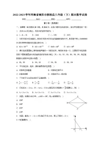 河南省南阳市桐柏县2022-2023学年八年级下学期期末数学试卷(含答案)