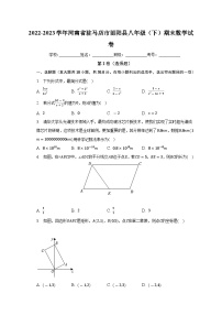 河南省驻马店市泌阳县2022-2023学年八年级下学期期末数学试卷（含答案）