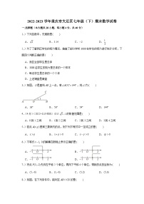 重庆市大足区2022-2023学年七年级下学期期末数学试卷（含答案）