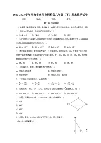 河南省南阳市桐柏县2022-2023学年八年级下学期期末数学试卷(含答案)