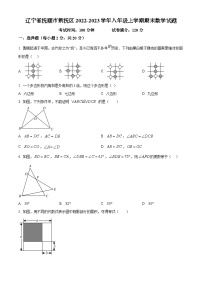 人教版·辽宁省抚顺市新抚区2022-2023学年八年级上学期期末数学试题