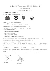 沪科版·安徽池州东至2022-2023学年上学期八年级数学期末考试卷