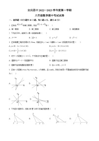 沪科版·安徽省安庆市第四中学2022-2023学年八年级上学期数学期中考试试卷