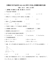 沪科版·安徽省六安市金安区2022-2023学年八年级上学期期末数学试卷