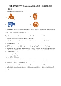 沪科版·安徽省芜湖市无为市2022-2023学年八年级上学期期末考试 数学试题