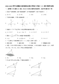 沪科版·安徽省合肥市瑶海区部分学校2022-2023学年八年级上学期期中数学试卷