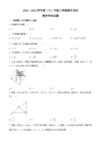 华师版·吉林省长春市朝阳区长春南湖实验中学2022-2023学年八上期末数学试卷