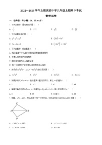 华师版·河南省鹤壁市淇滨中学2022-2023学年八上期中数学试卷