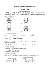 山东省聊城市临清市2022-2023学年八年级下学期期末数学试题（含答案）