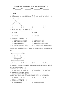 初中数学北师大版九年级上册3 相似多边形精练