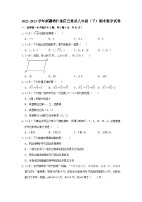 新疆喀什地区巴楚县2022-2023学年八年级下学期期末数学试卷（含答案）