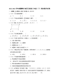 新疆喀什地区巴楚县2022-2023学年八年级下学期期末数学试卷（含答案）