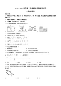 河南省周口市淮阳区2022-2023学年七年级下学期期末数学试题（含答案）