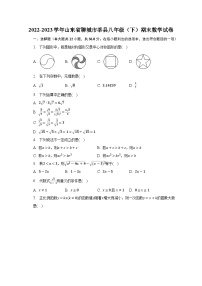 山东省聊城市莘县2022-2023学年八年级下学期期末数学试卷（含答案）