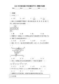 2023年河南省新乡市获嘉县中考三模数学试题（含解析）