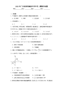 2023年广东省深圳高级中学中考二模数学试题（含解析）