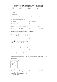 2023年广东省梅州市梅县区中考一模数学试题（含解析）