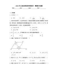 2023年云南省昭通市昭阳区一模数学试题（含解析）