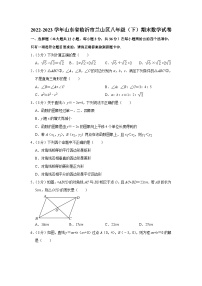 山东省临沂市兰山区2022-2023学年八年级下学期期末数学试卷（含答案）