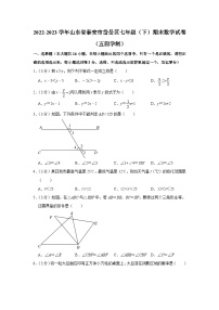 山东省泰安市岱岳区2022-2023学年七年级下学期期末数学试卷（含答案）