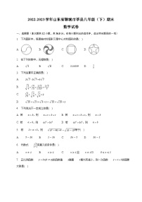 山东省聊城市莘县2022-2023学年八年级下学期期末数学试卷 （含答案）