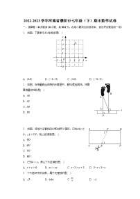 2022-2023学年河南省濮阳市七年级（下）期末数学试卷（含解析）