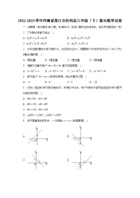 2022-2023学年河南省周口市扶沟县八年级（下）期末数学试卷（含解析）