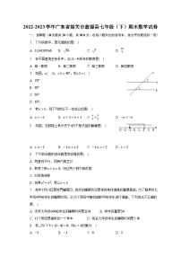 2022-2023学年广东省韶关市翁源县七年级（下）期末数学试卷（含解析）