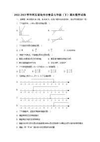 2022-2023学年河北省沧州市青县七年级（下）期末数学试卷（含解析）