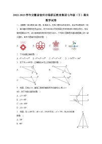 2022-2023学年安徽省宿州市埇桥区教育集团七年级（下）期末数学试卷（含解析）