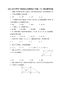 2022-2023学年广东省汕头市澄海区八年级(下)期末数学试卷(含解析)