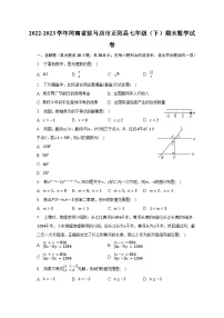 2022-2023学年河南省驻马店市正阳县七年级（下）期末数学试卷（含解析）