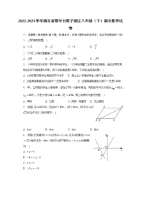 2022-2023学年湖北省鄂州市梁子湖区八年级（下）期末数学试卷（含解析）