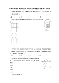 2023年河南省南阳市内乡县灵山雷锋学校中考数学三模试卷（含解析）