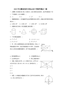 2023年安徽省宿州市砀山县中考数学最后一模（含解析）