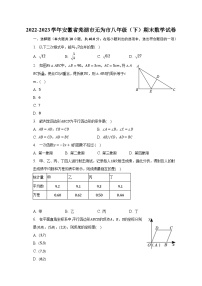 2022-2023学年安徽省芜湖市无为市八年级（下）期末数学试卷（含解析）