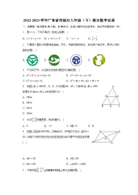 2022-2023学年广东省河源市八年级(下)期末数学试卷(含解析)