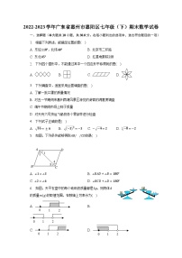 2022-2023学年广东省惠州市惠阳区七年级（下）期末数学试卷（含解析）